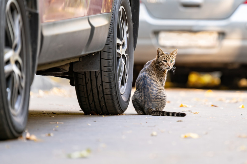🚙👀クルマからの死角🚙