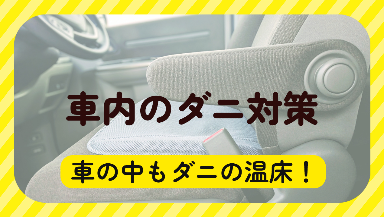車にもダニが発生する！？